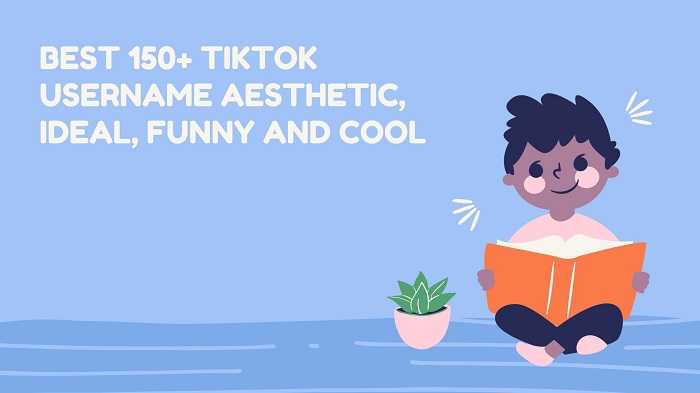 ikTok Username Aesthetic, Ideal, Funny and Cool