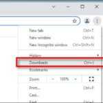 How to view and delete Google Chrome download history