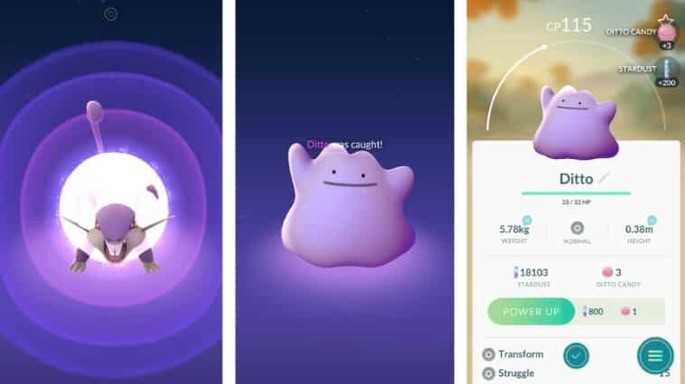 Pokémon GO: Learn How to Catch a Ditto! (2022) 